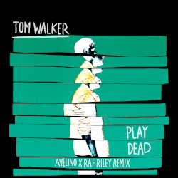Play Dead (Avelino & Raf Riley remix)