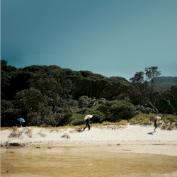 Tidal River