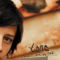Small Arm of Sea