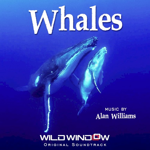 Whales