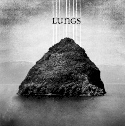 Lungs 10"