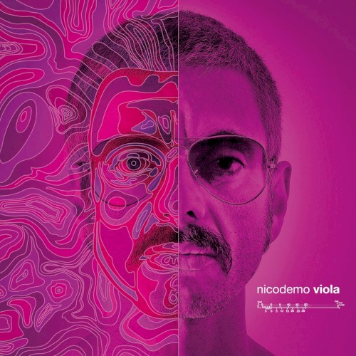 Viola