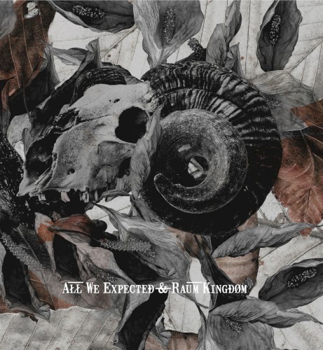 All We Expected & Raum Kingdom Split