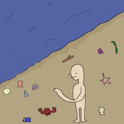 You Need a Shell