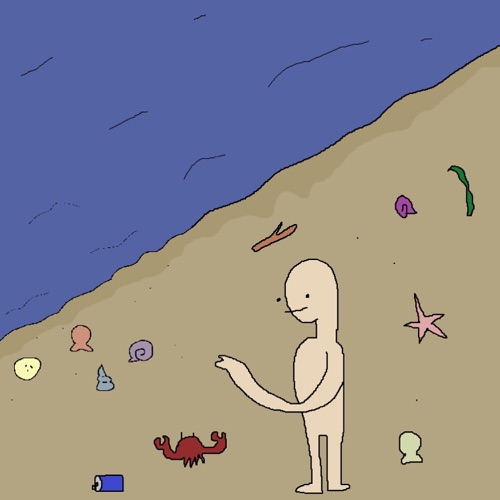 You Need a Shell
