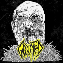 Gorupted