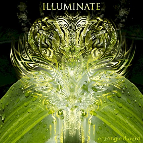 Illuminate