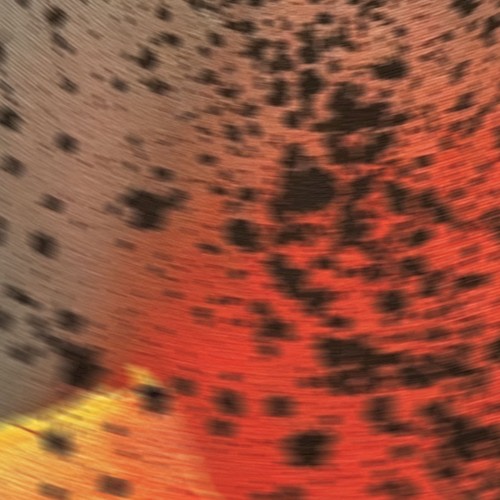 Pareidolia III