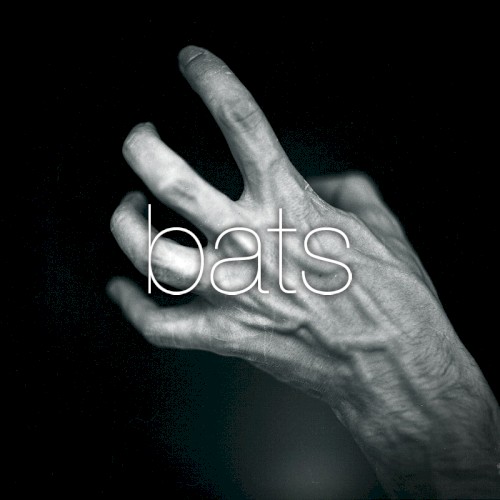 Bats (A Song for Ukraine)