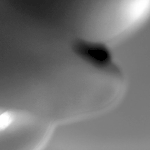 Planes (Windshear edit)