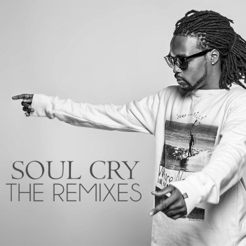 Soul Cry (The Remixes)