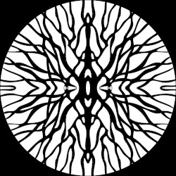 Procyon