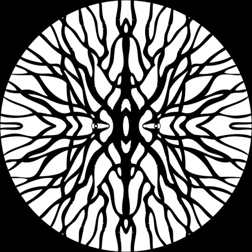 Procyon