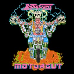 Motorgut