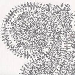 Ridge of Undulation