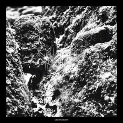 Lichen Death