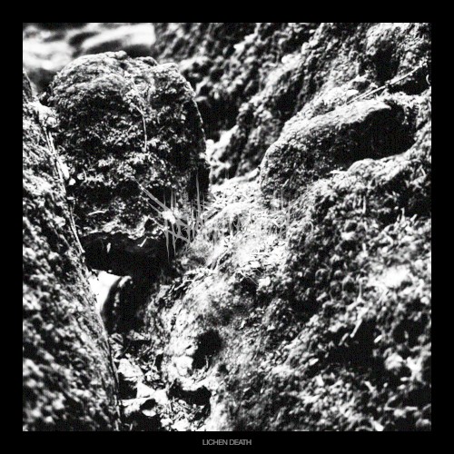 Lichen Death