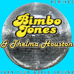 Turn Your World Around (remixes)