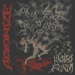 Highest Form
