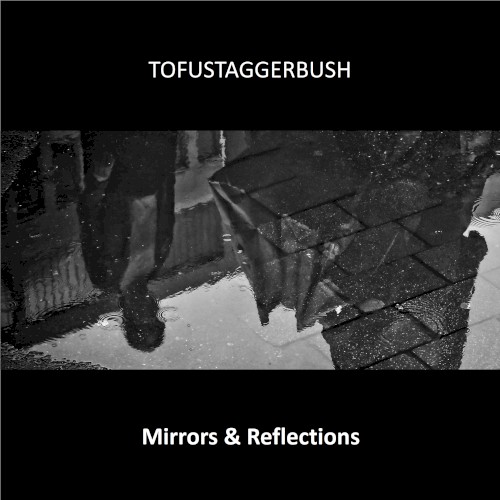 Mirrors and Reflections