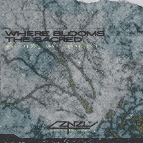 Where Blooms the Sacred