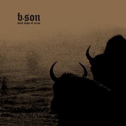 Black Shape of Nexus