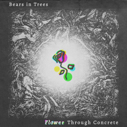 Flower Through Concrete
