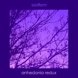 Anhedonia Redux