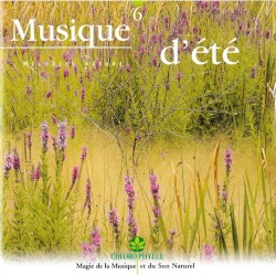 Musique d'été