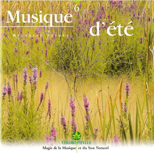 Musique d'été
