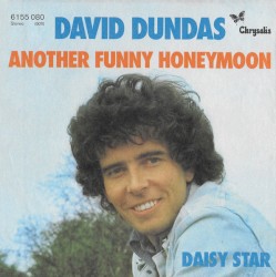 Another Funny Honeymoon