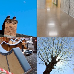 decay quadtych