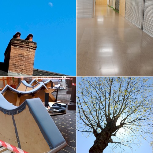 decay quadtych