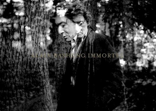 Immortel