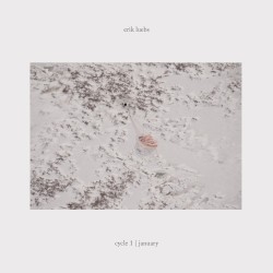 Cycle 1 | January