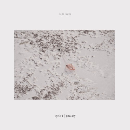 Cycle 1 | January