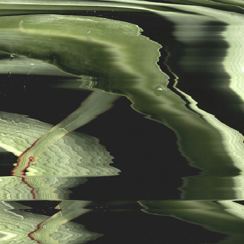 Unravelling the Everyday