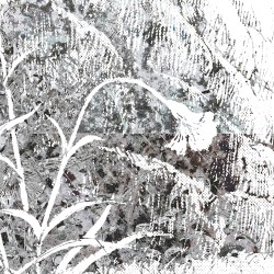 frozen over