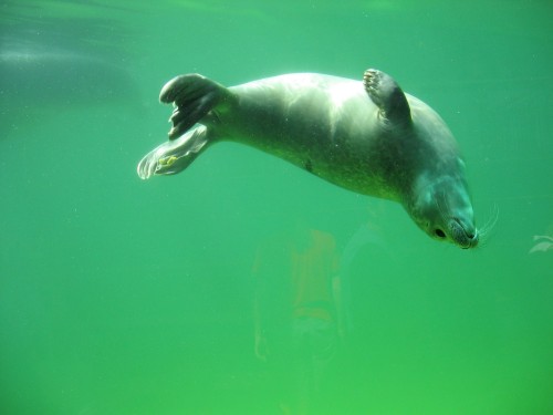 Unter Wasser