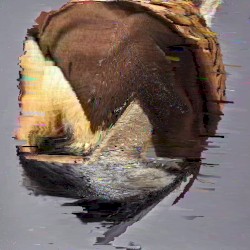 SEHNnSTehn