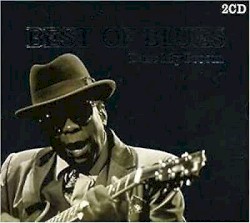Best of Blues: Dust My Broom