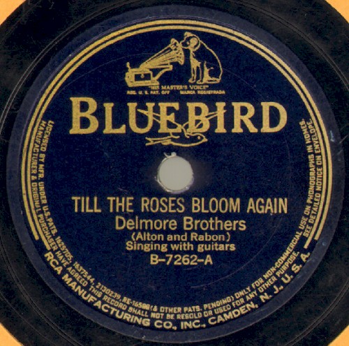 Till the Roses Bloom Again / The Budded Rose