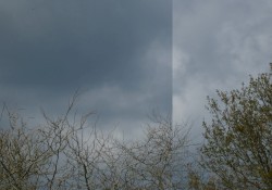 wind
