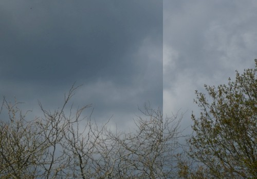 wind