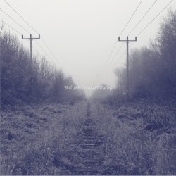 Crossed Paths