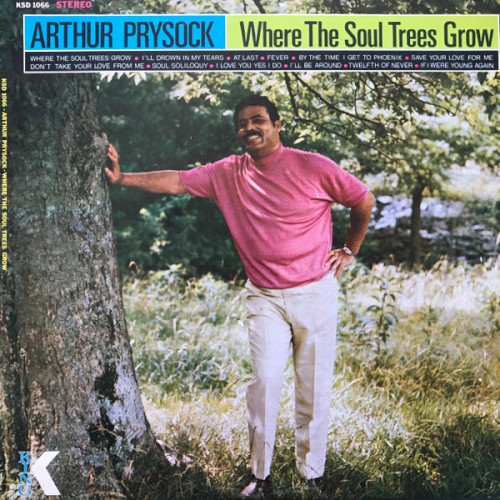 Where the Soul Trees Grow