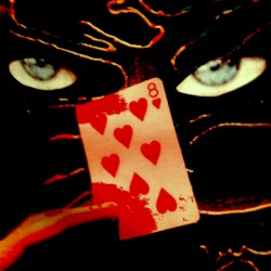 Premonition