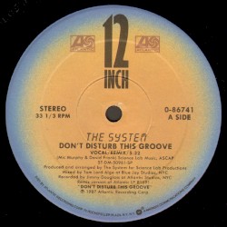Don't Disturb This Groove