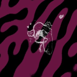 Inconsistent Reflections