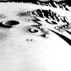 Synaptic Acres
